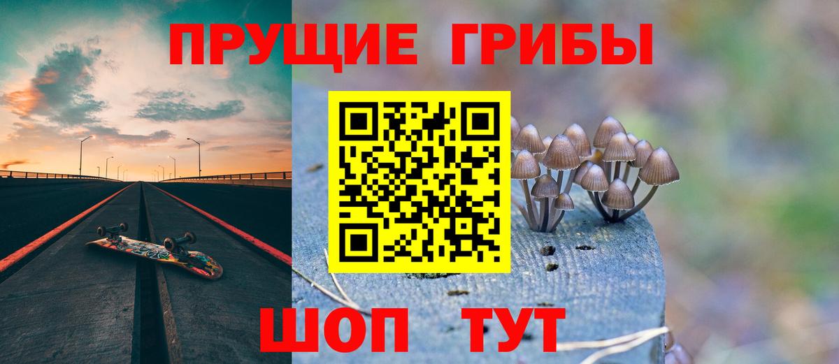 Киреевск  закладка  Вход с VPN  Галлюциногенные грибы мицелий 